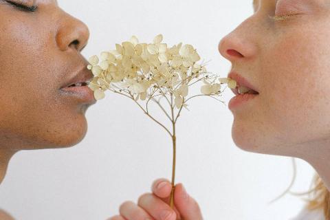 two women hold white petals and put their faces close to either end