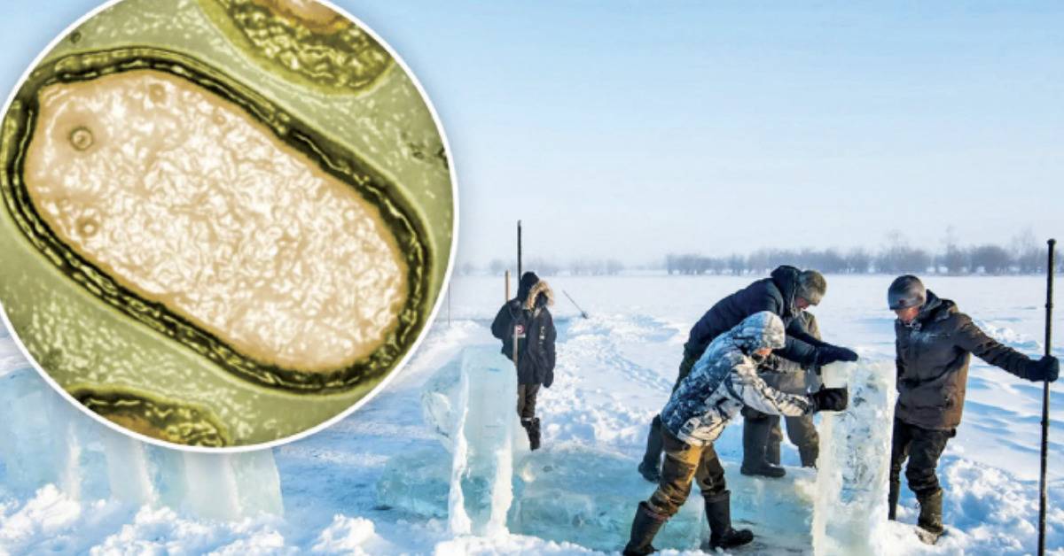 Scientists Revived "Zombie Virus" Stuck Under Siberian Permafrost For ...