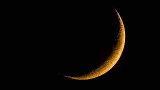 A yellow crescent moon hanging in a dark sky.