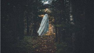 A floating sheet in a forest in the shape of a ghost.