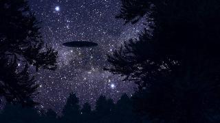 A night-sky fill of stars as seen through some trees, a silhouette of a saucer UFO visible.