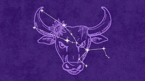 On a dark purple textured background is a light purple illustration of a bull. Atop that is an off-white 
graphic depicting the Taurus constellation.