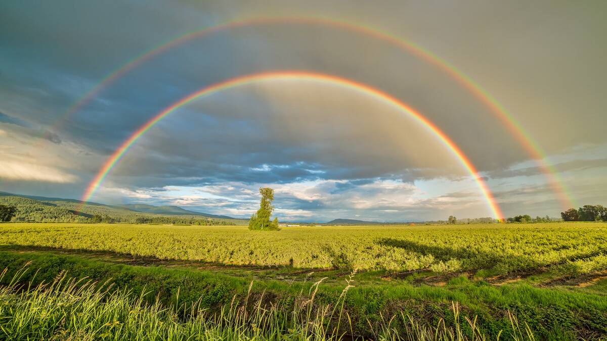 A double rainbow spanning across a bright green field.