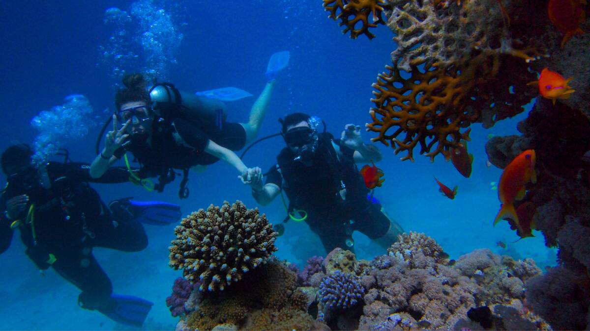 A small group of people scuba diving near a coral reef.