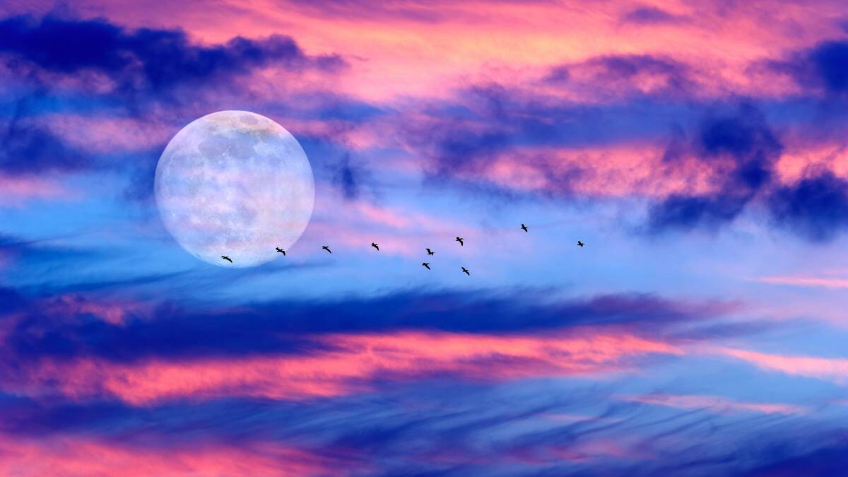 The full moon in a bright, saturated colorful sky, the silhouette of some birds flying in front of it.