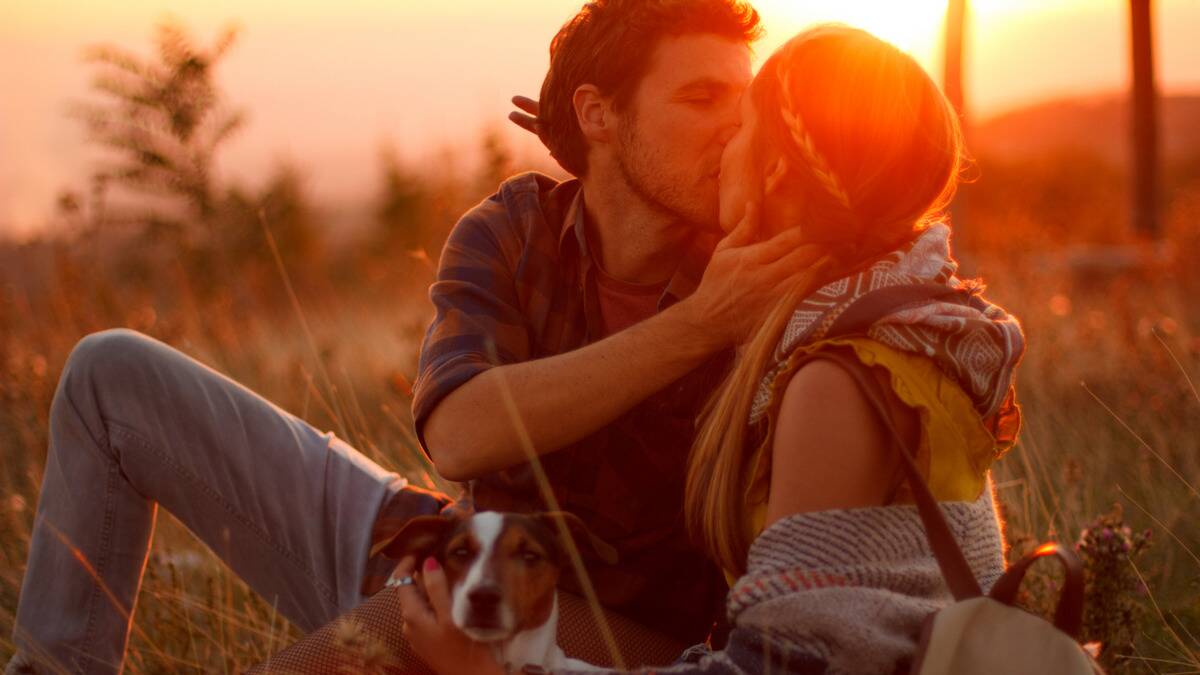 A couple sitting outside in the grass, kissing in the sunset.