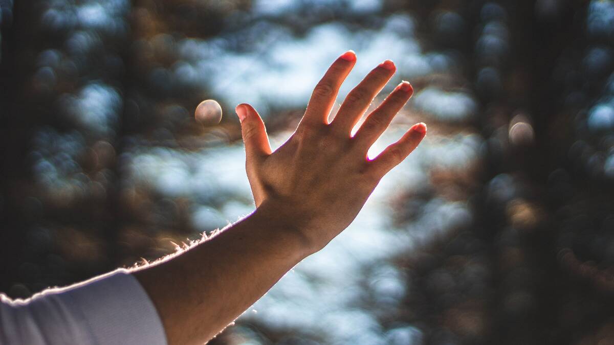 Someone holding their hand up in the sunshine, the background blurred.