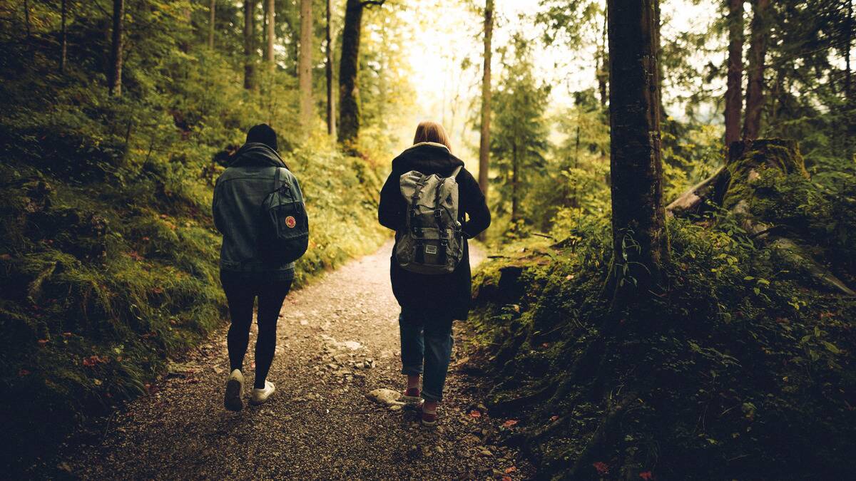 Two friends walking down a forest path, facing away from the camera.