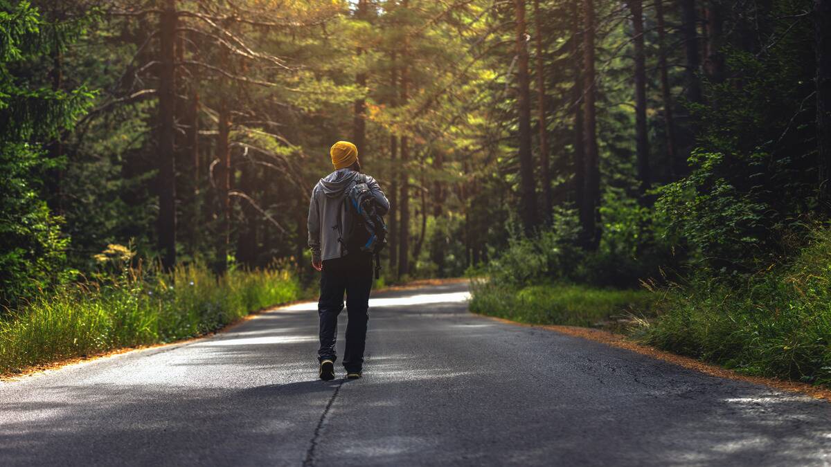 A man walking down a paved road lined with trees.