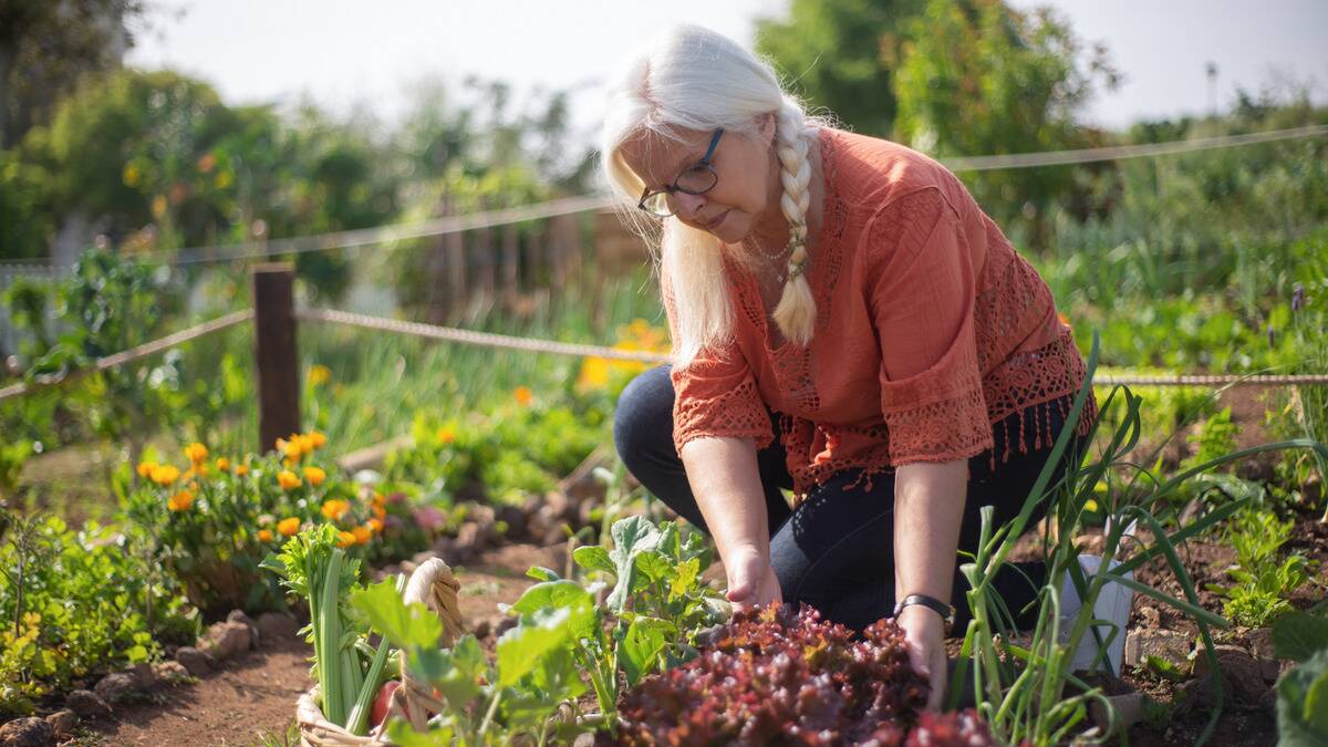 A woman knelt down gardening.