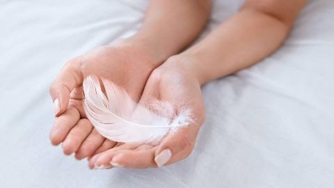 Two hands cupped together holding a delicate white feather.