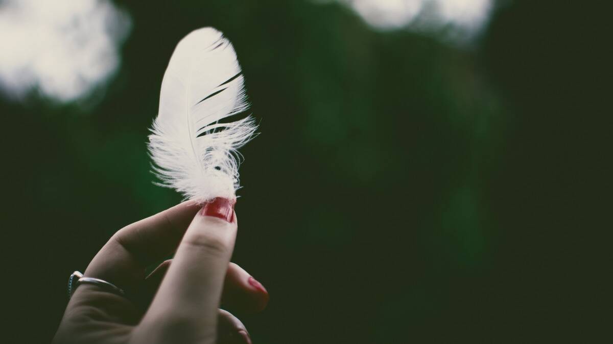 A hand holding up a small white feather, held between the person's index finger and thumb.