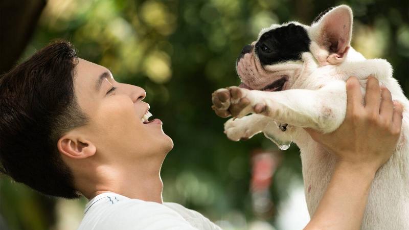 A man holding up a small french bulldog to his face, smiling as he does.