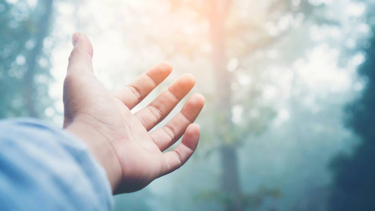 A close shot of a hand reaching out toward the light of the sun.