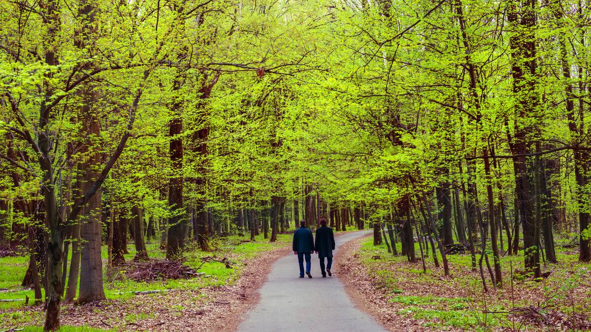 Two people walking down a paved path among the trees, facing away from the camera.