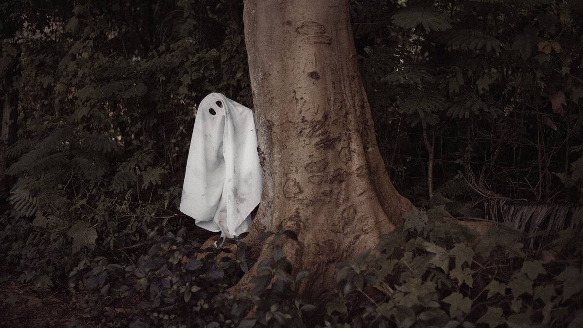 Someone in a sheet ghost costume leaning out from behind a tree.