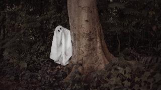 Someone in a sheet ghost costume leaning out from behind a tree.