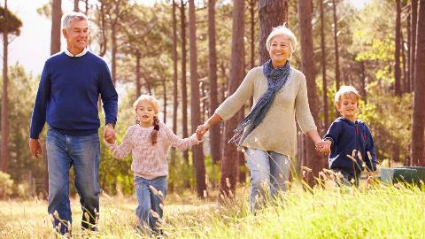 Two grandparents walking with their two young grandchildren in a field, all smiling.