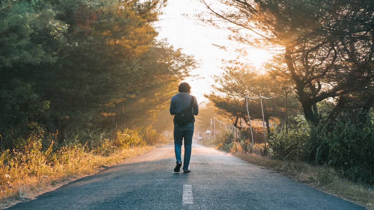 A person walking away from the camera down the road as the rising sun shines through the trees.