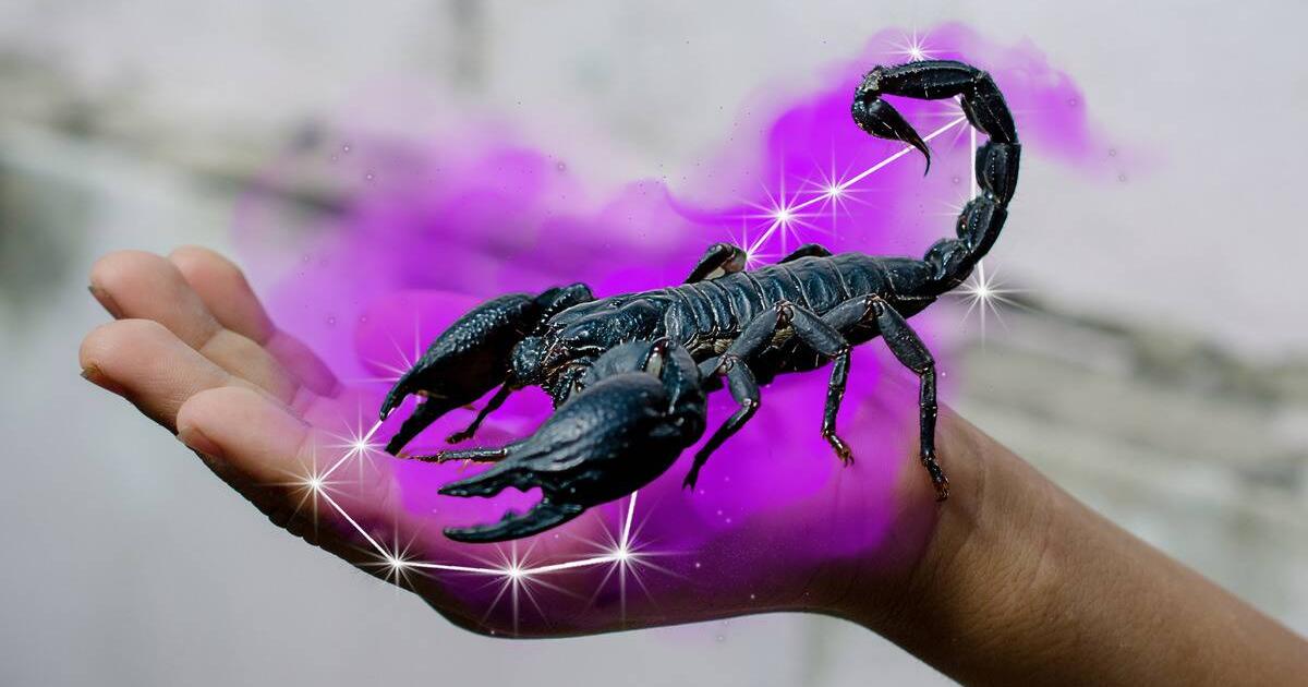 Scorpio Season, October 23 November 21, What It Means And What To Expect