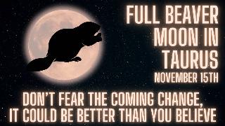 A pink glowing full moon with the silhouette of a beaver overtop. There's also glwoing pink text that reads, 