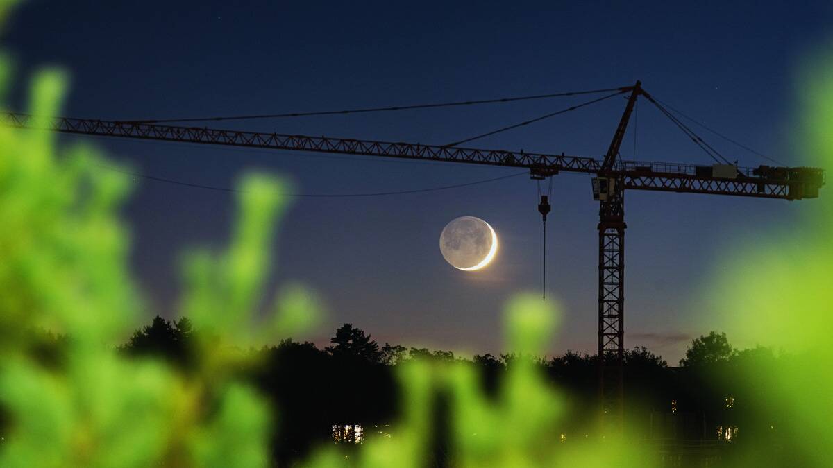 A crescent moon visible beneath the silhouette of a crane.