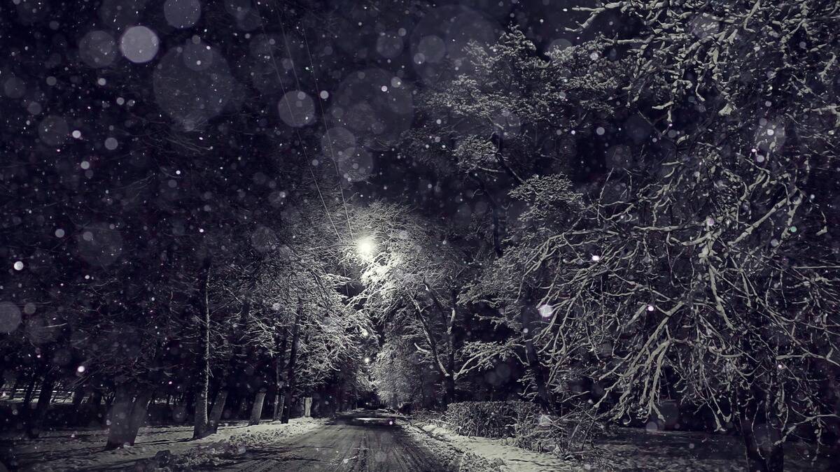 A street at night during winder, snow falling and a streetlight lighting the way.