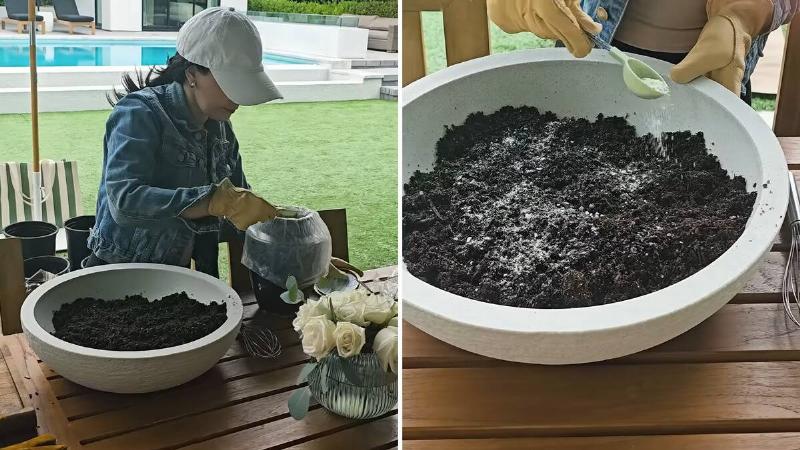 Two photos of Rosanna scooping her father's ashes out of an urn and spreading them in a large pot of soil.