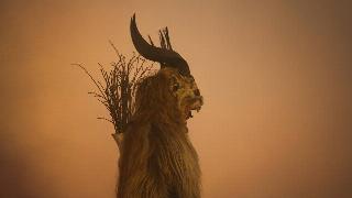 participant dressed as the Krampus creature walks the streets in search of delinquent children during Krampus night on November 30, 2013 in Neustift im Stubaital, Austria.