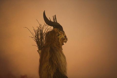 participant dressed as the Krampus creature walks the streets in search of delinquent children during Krampus night on November 30, 2013 in Neustift im Stubaital, Austria.