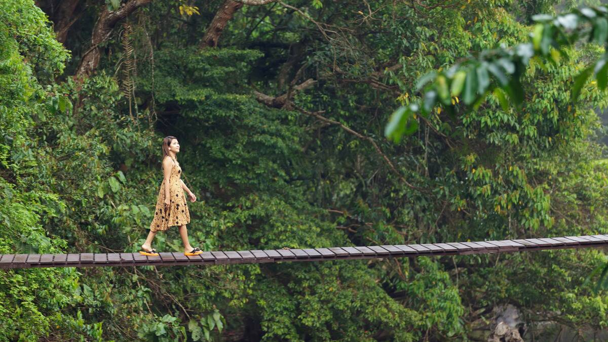 A woman walking along a thin, railing-less bridge that spans across a jungle valley.