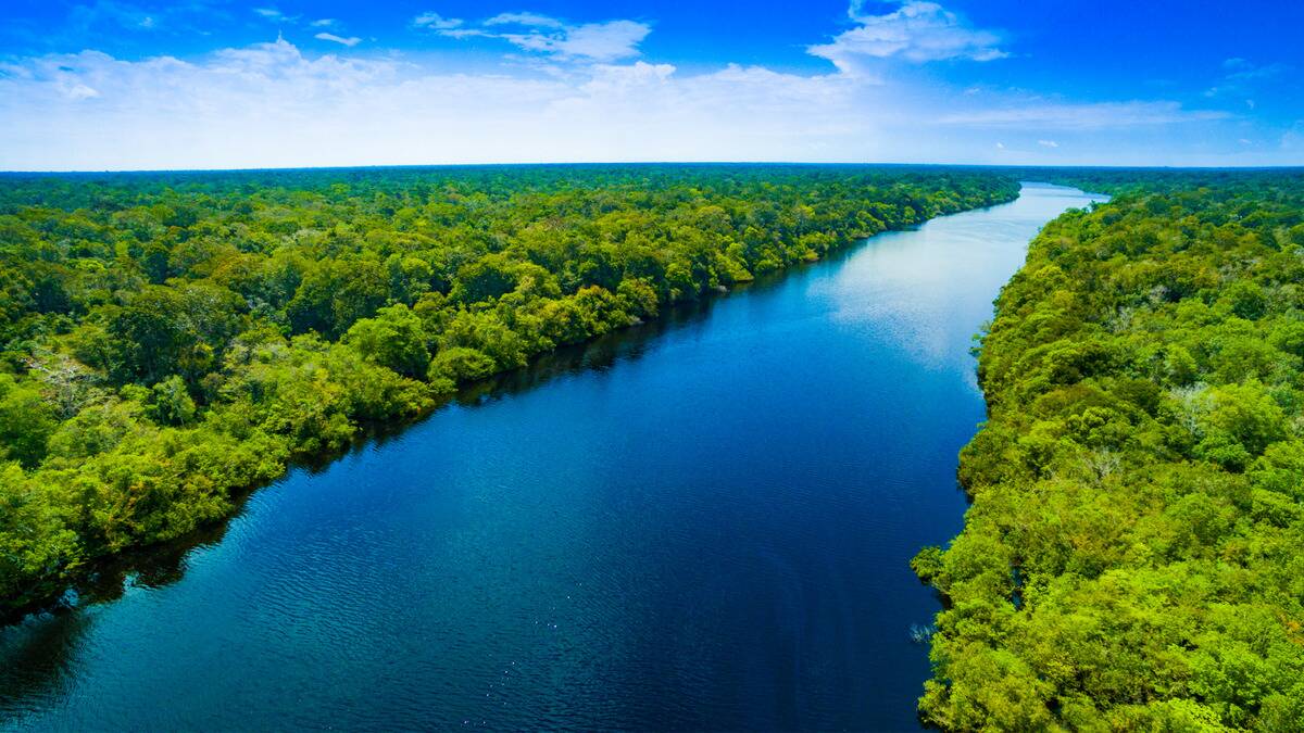 The Amazon river under a bright blue sky, lined by trees on either side.