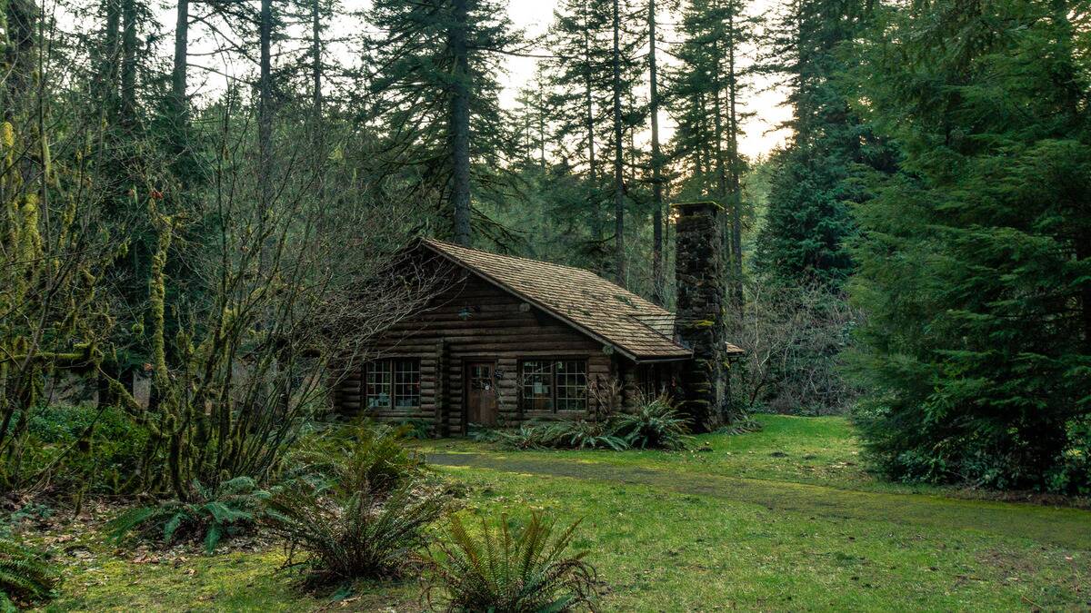 A lone cabin in the middle of the woods.