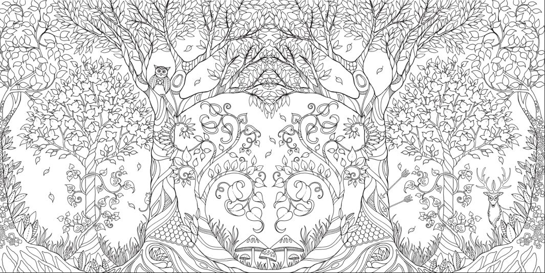 Relaxation and Meditation Ser.: Adult Coloring Book : Stress Relieving  Patterns - Enchanted Forest Coloring Book for Adults Relaxation(adult  Colouring Books, Adult Colouring Book for Ladies, Adult Coloring Pages) by  Link Coloring (