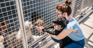 woman plays with puppies at a shelter